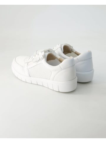 Terry Sneaker low in Weiß