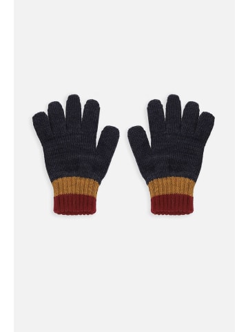 Coccodrillo Handschuhe in bunt