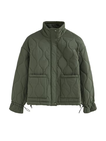 Polo Club Steppjacke in Waldgrün