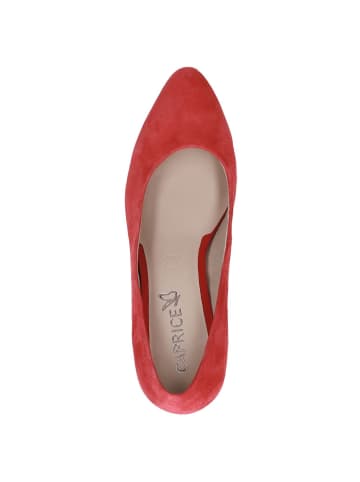 Caprice Pumps in RED SUEDE