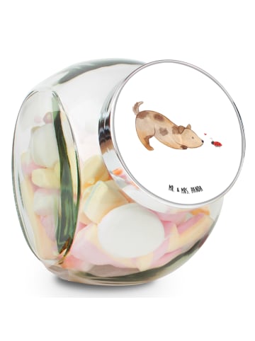 Mr. & Mrs. Panda Teedose Hund Marienkäfer ohne Spruch in Weiß