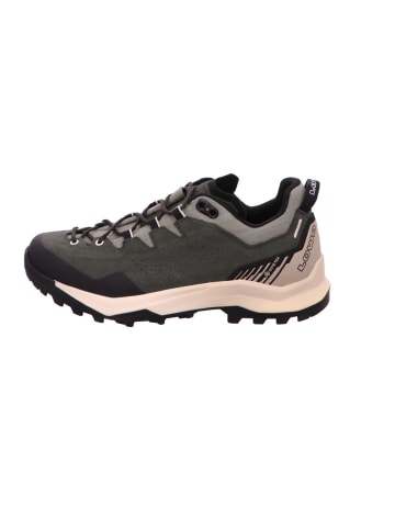 LOWA Outdoorschuh EXPLORER GTX LO in dunkelgrün/panna