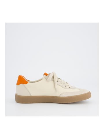 Paul Green Sneaker in Beige