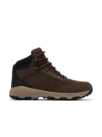 Columbia Botas Newton in Braun