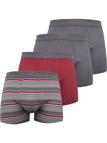 Erwin Müller Baumwolle, Single-Jersey Pants im 4er-Pack in anthrazit
