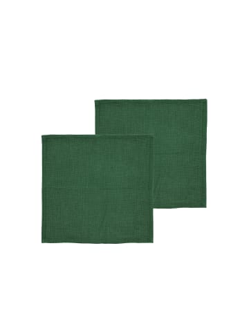 SÖDAHL Putzlappen Spectrum in Green