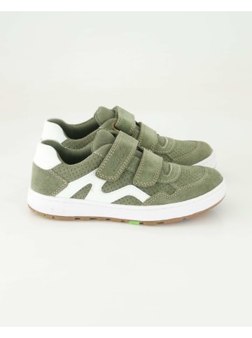 Lurchi Klettschuhe in Grün