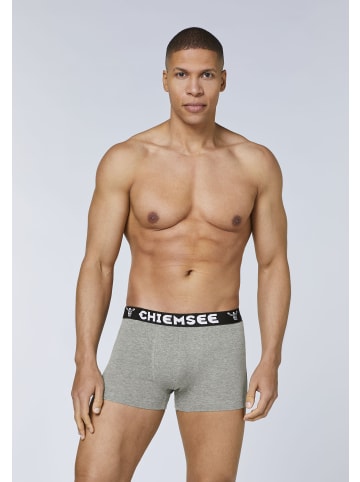 Chiemsee Boxershorts in Grau