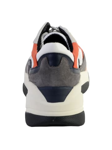Geox D Kirya B-Sneaker – Wildleder + Mesh Grau