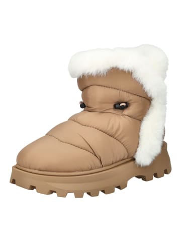 Steve Madden Stiefelette in Tan