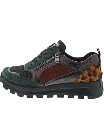 WALDLÄUFER H-Ajala sportlicher Schnürer Mehrfarbig