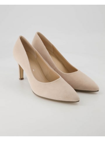 Gabor Klassische Pumps in Rosa