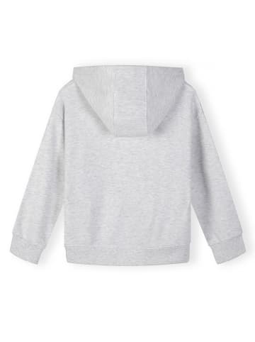 Minoti 2-er Pack Kapuzensweatshirt NOSFLEECE407 in graumeliert