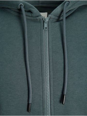 Jack & Jones Sweatjacke JJEBRADLEY SWEAT ZIP HOOD in Beige