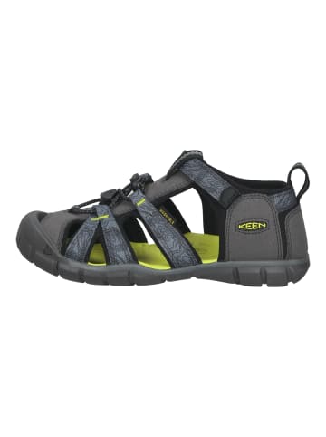 Keen Wanderschuhe Grau