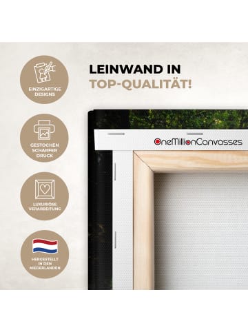 OnlyWow Leinwand Bilder Dschungel Wasserfall