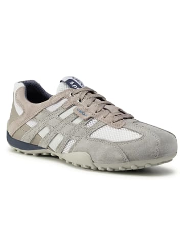 Geox Sneakers Low U Snake K Scam.+Mesh in bunt