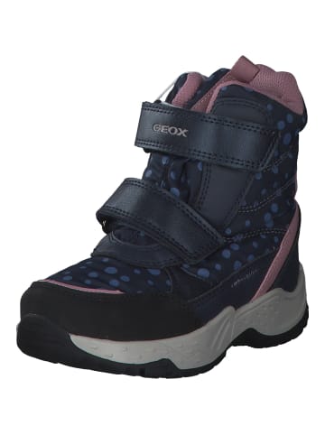 Geox Stiefeletten in navy/pink