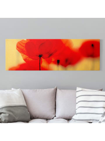 WALLART Leinwandbild Gold - Magic Poppies in Rot