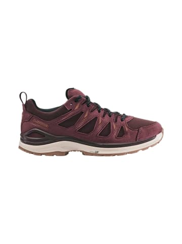 LOWA SHOES "INNOX EVO II GTX Ws" in merlot/dune