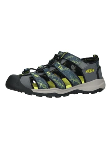 Keen Wanderschuhe in Blau/Grau