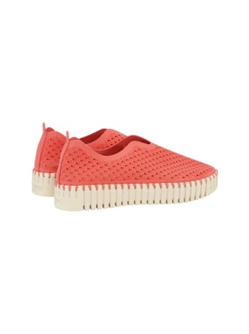 Ilse Jacobsen Sneaker TULIP3373 in Himbeer