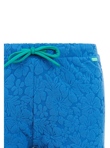 Protest " PRTTeddy JR in Gladio Blue