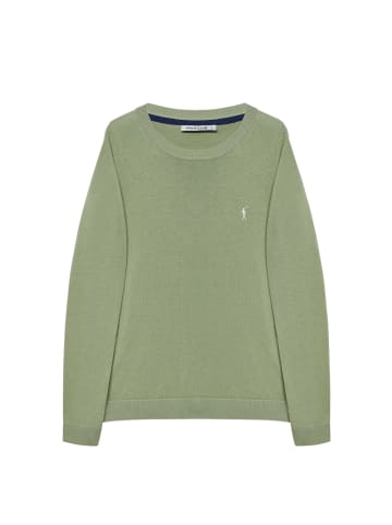 Polo Club Pullover in Jade Grün