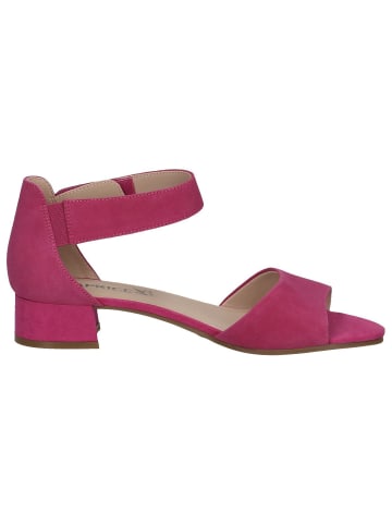 Caprice Sandalette in FUCHSIA SUEDE