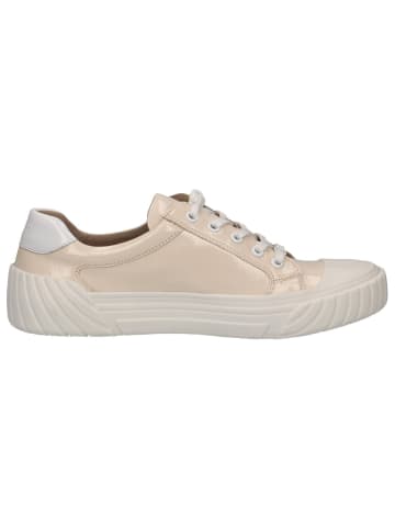 Caprice Sneaker in BEIGE NAPLA CO