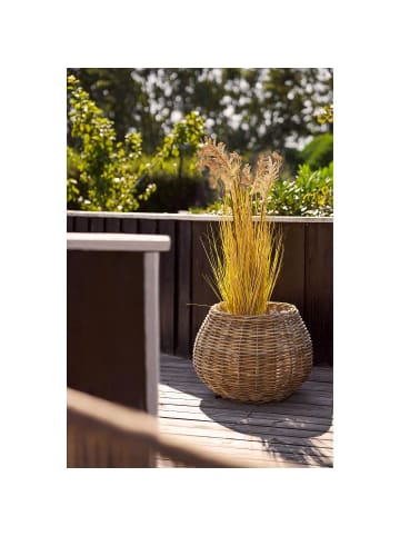 ebuy24 Korb Juna (2-teilig) Natur 57 x 57 cm