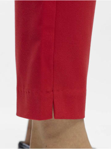 Object Hose in poinsettia