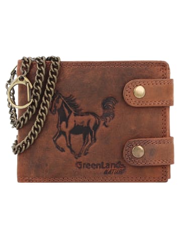 Greenland Nature Montenegro Geldbörse RFID Leder 12 cm in horse