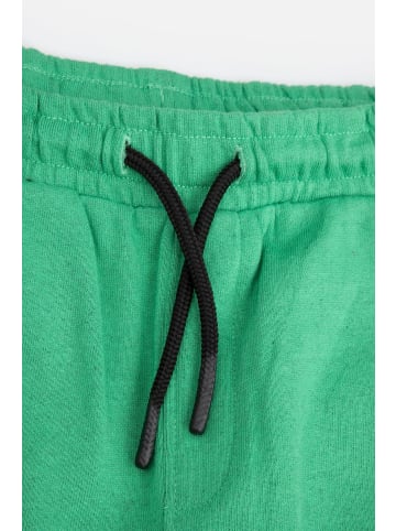 Coccodrillo Kurze Hose in bunt