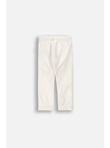 Coccodrillo Samtige hose in ecru