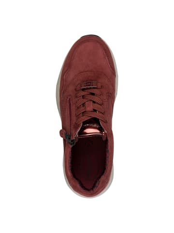 Tamaris COMFORT Sneaker in BORDEAUX