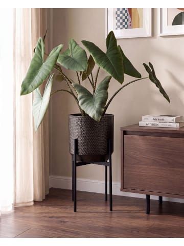 Beliani Indoor Blumentopf ALDOVANDRA in Schwarz - (W) 34 x (H) 62 x (L) 34 cm