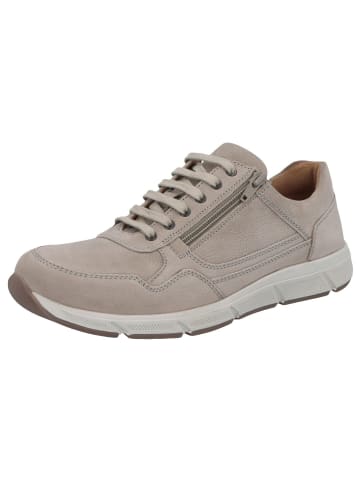 Solidus Sneaker Low in grau