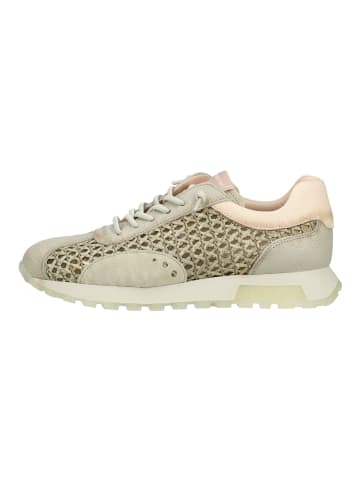 Hispanitas Sneaker in Khaki