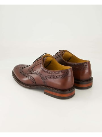DIGEL Anzug- & Businessschuhe in Braun