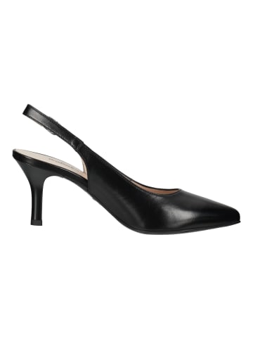 Nero Giardini Pumps in Schwarz