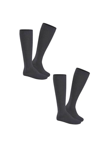 Hudson Kniestrümpfe Only 2-Pack wärmend in Brownmel.