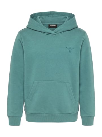 Chiemsee Sweatshirt in Blau