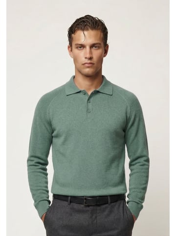 Felix Hardy Pullover in Grün