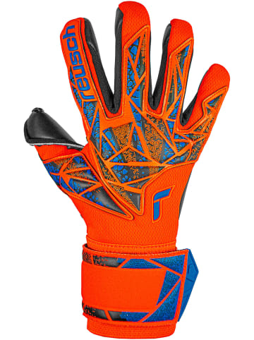 Reusch Torwarthandschuh Attrakt Duo in 2211 hyper orng/elec blue/blck