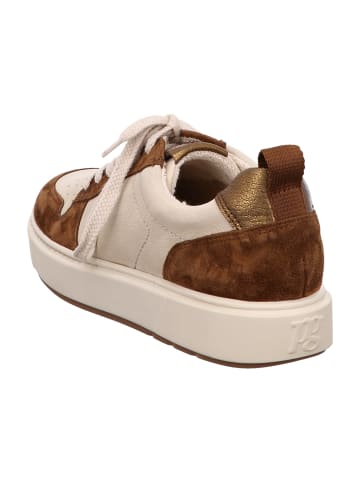 Paul Green Sportliche Schnürschuhe in Beige