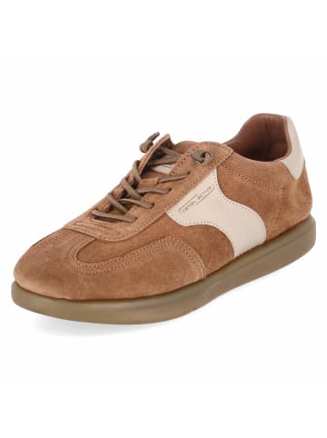 Camel Active Low Sneaker CORDILLERA in braun