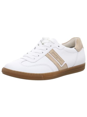 Paul Green Schnürschuhe in white/sabbia