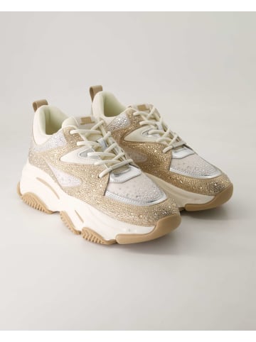 Steve Madden Sportliche Schnürschuhe in Beige