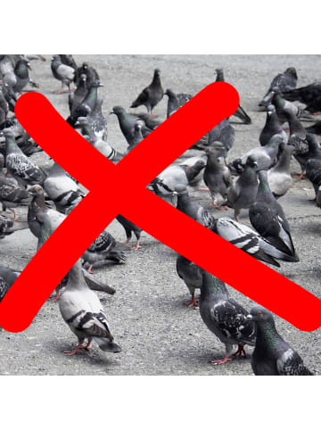 relaxdays 24x Vogelabwehr "Spirale" in Grün